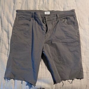 Hudson shorts